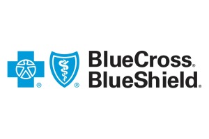 Blue Cross Blueshield Blue Cross Blueshield