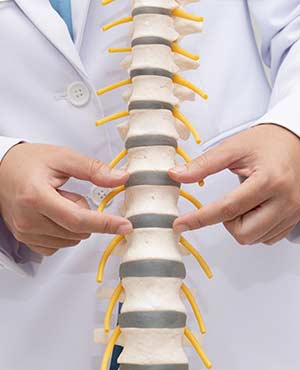 Spine Specialist Near Me in Plano, TX